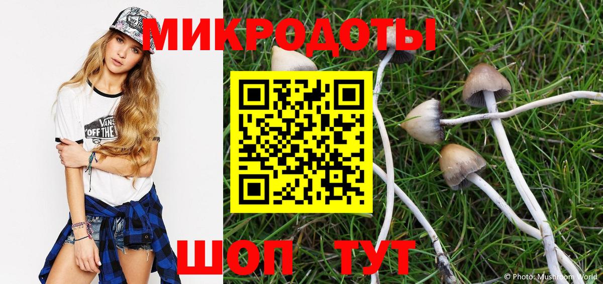 Ступино  Псилоцибиновые грибы ЛСД  купить наркоту  Вход с VPN 